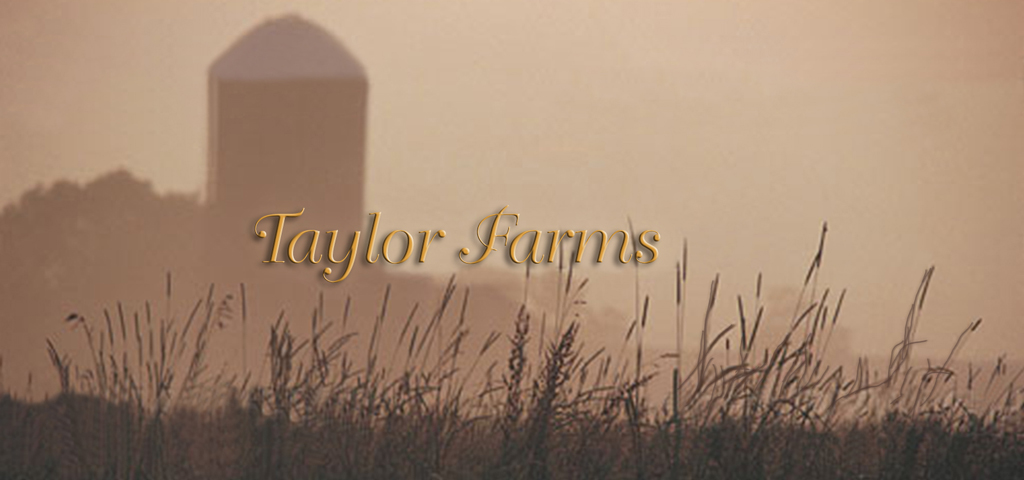 Harvest Sunrise Taylor Farms PROOF